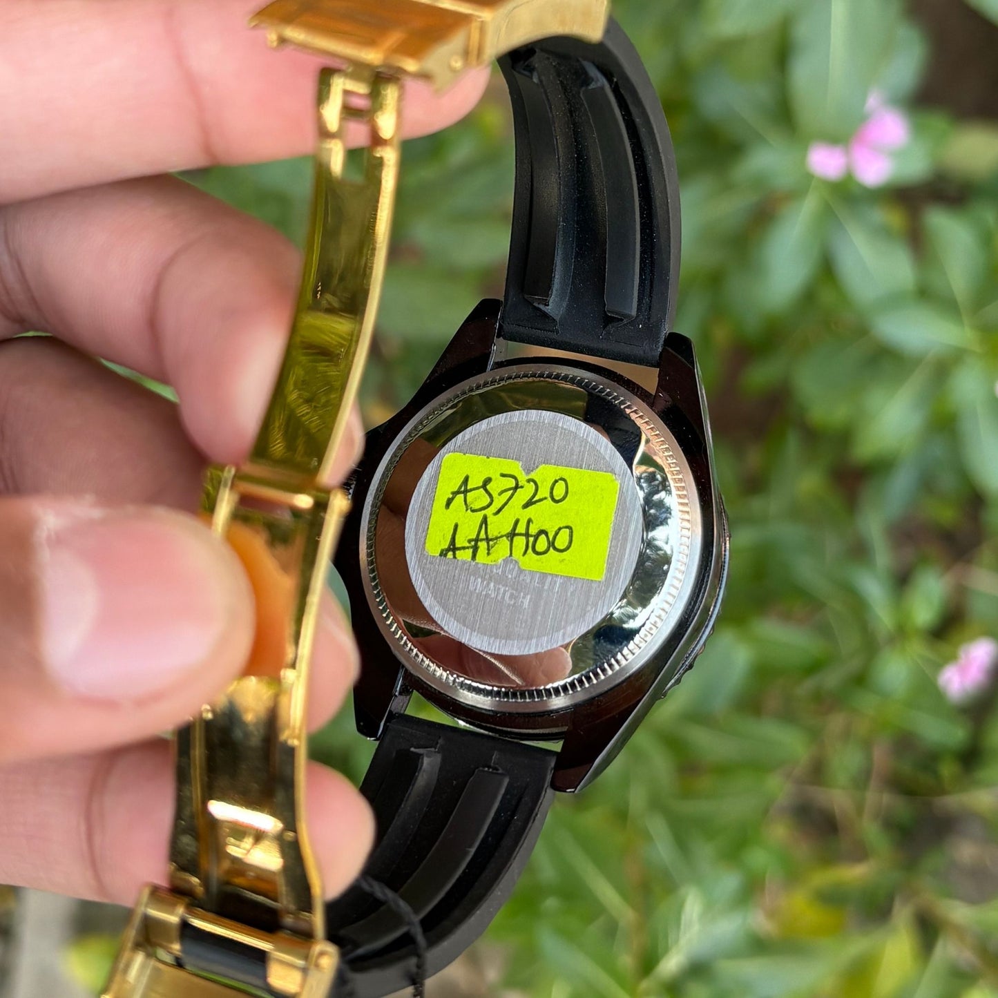 Reward - Yacht Master